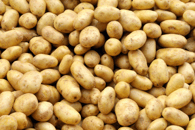 Pomme de terre nouvelle au kg