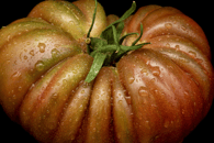 Tomate noire de crimée au kg