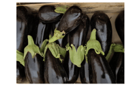 Aubergine au kg