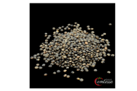 Lentilles vertes 500g