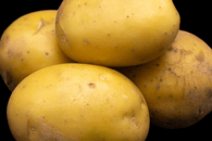 Pomme de terre conservation lavée au kg