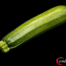 Courgette au kg