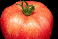 Tomate rose au kg