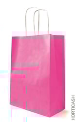 Sac kraft petit format